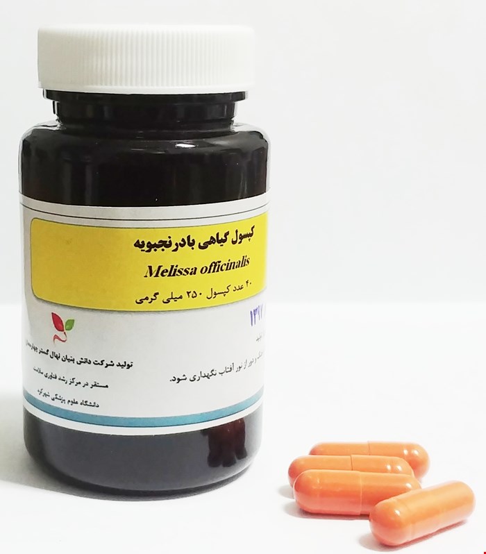 کپسول گیاهی بادرنجبویه