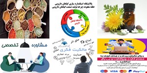 کلیه خدمات قابل ارائه