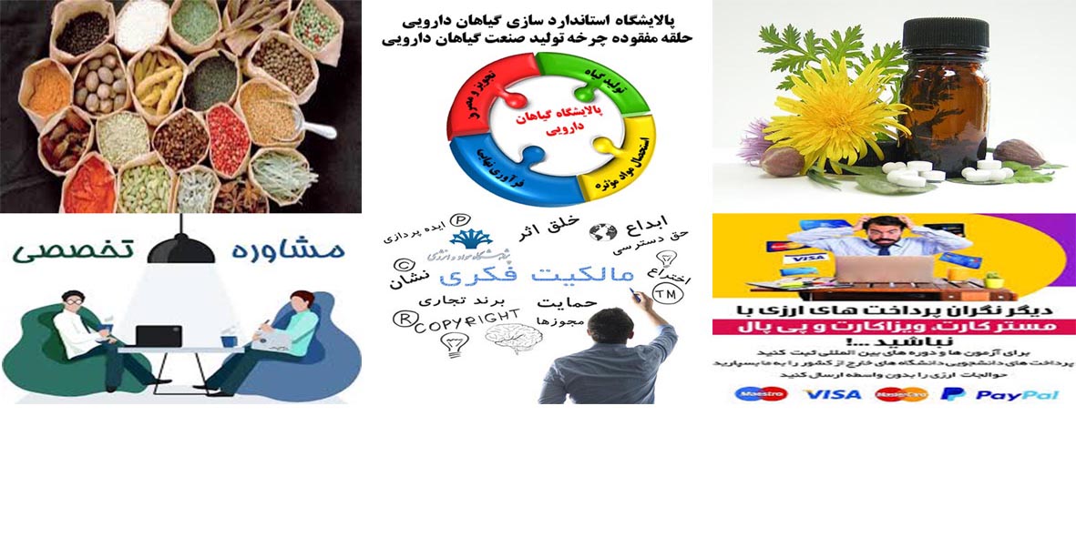 کلیه خدمات قابل ارائه